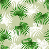 Seamless pattern with palms leaves. Decorative image tropical leaf of palm tree Livistona Rotundifolia. Background made without clipping mask. Easy to use for backdrop, textile, wrapping paper