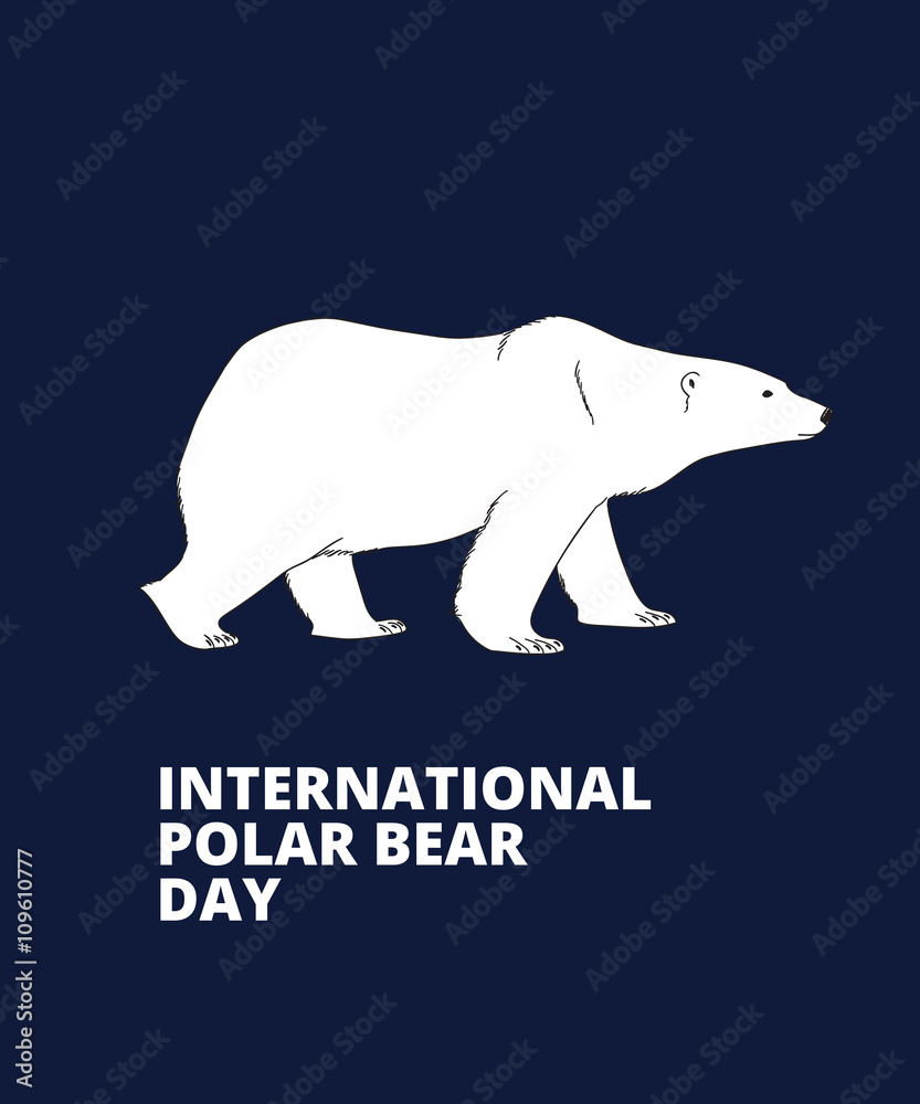 Polar bear hand drawn illustration Polar bear hand drawn illustration