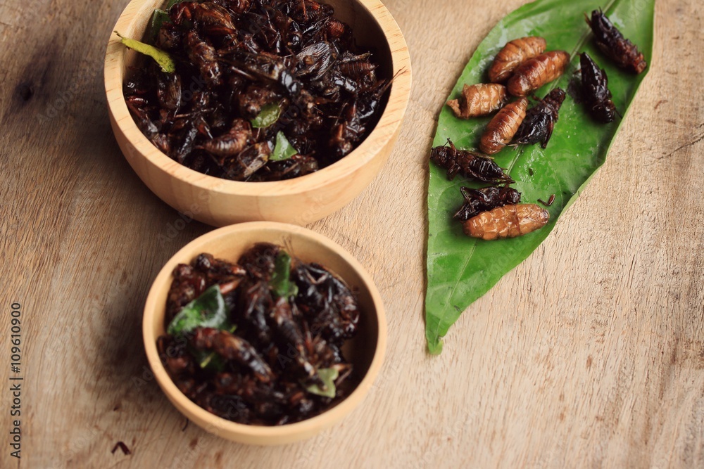 fried insects fried insects