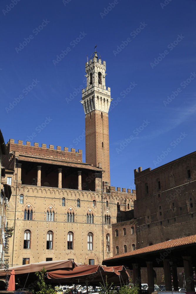 Toscana,Siena,Palazzo Comunale,la torre del Mangia.