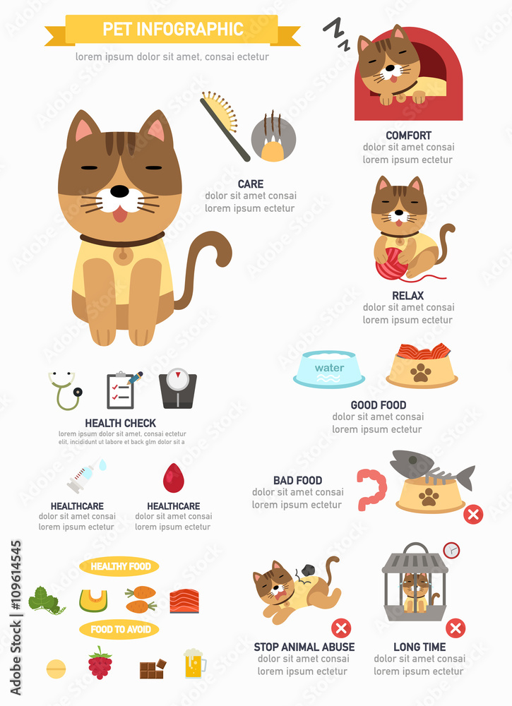 cat infographic,vector