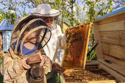 beekeeper grandfather and grandson examine a hive of bees