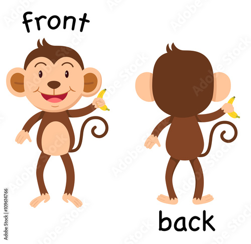 Opposite words front and back vector