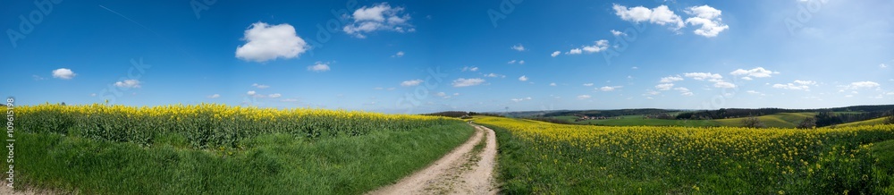 Panorama of ground road and green field Panorama of ground road and green field