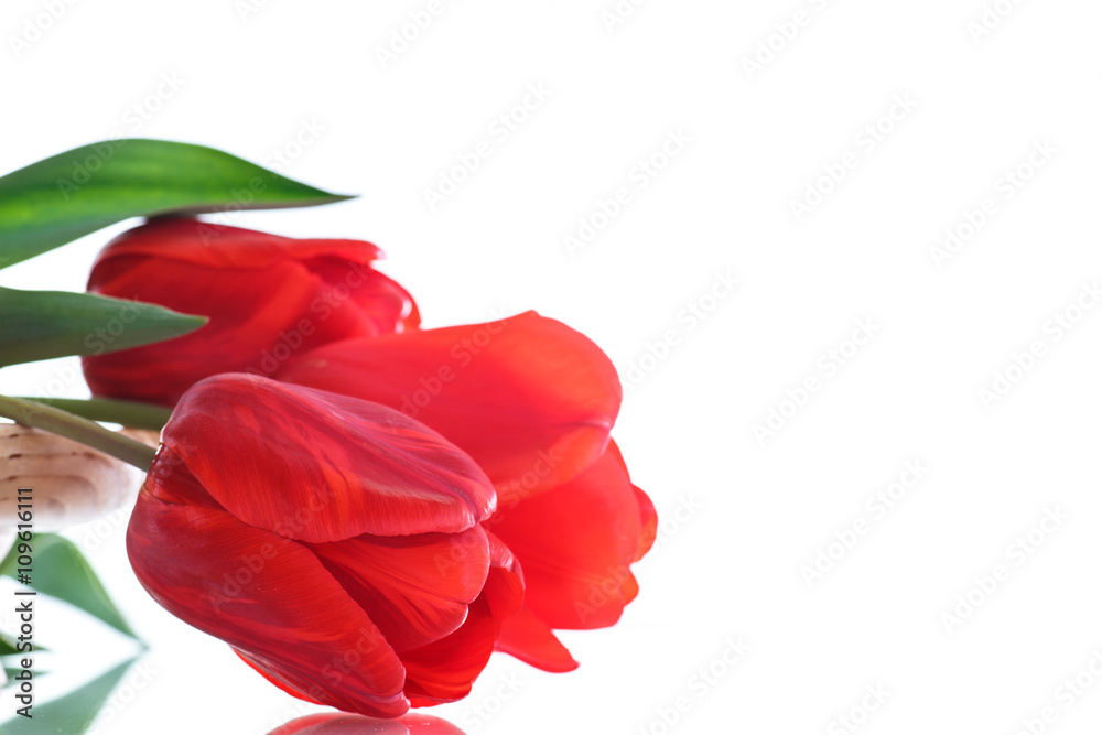 Beautiful bouquet of red tulips Beautiful bouquet of red tulips