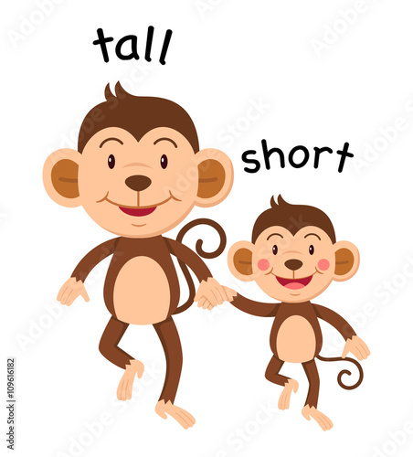 Opposite words tall and short vector