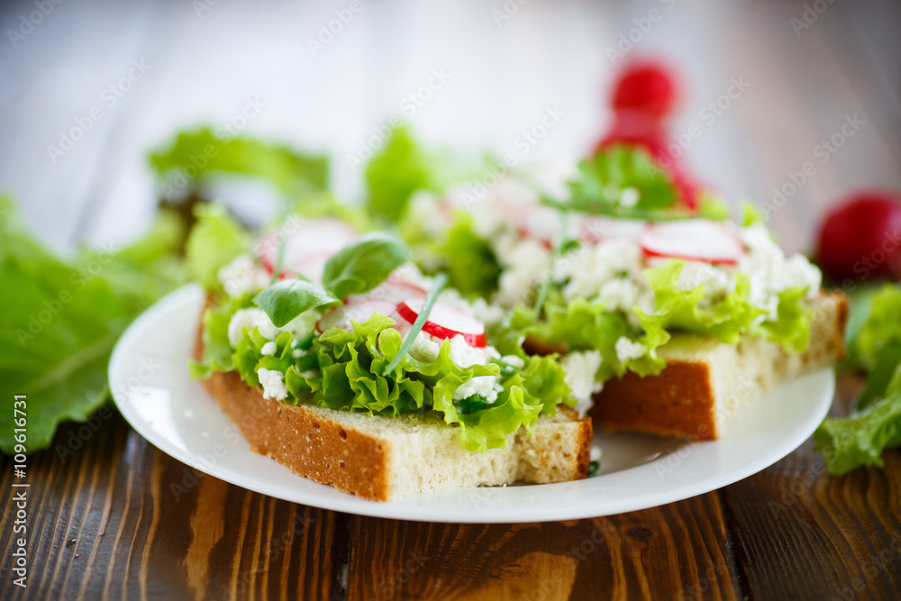 sandwich with cheese, radish and lettuce sandwich with cheese, radish and lettuce