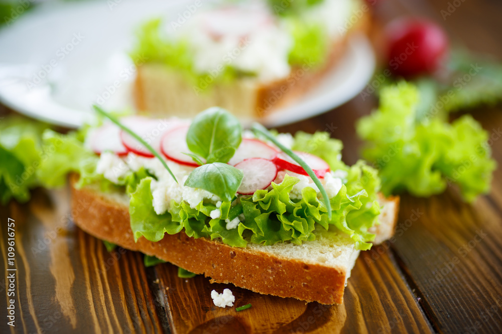 sandwich with cheese, radish and lettuce sandwich with cheese, radish and lettuce
