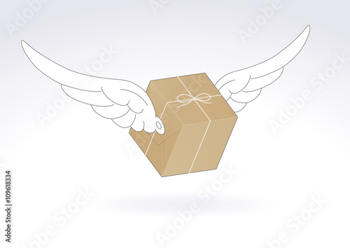 paquet emballé avec des ailes_emballage en papier kraft 