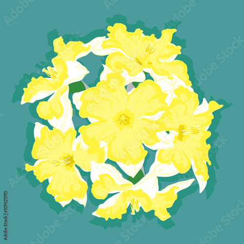 Narcissus vector yellow ball