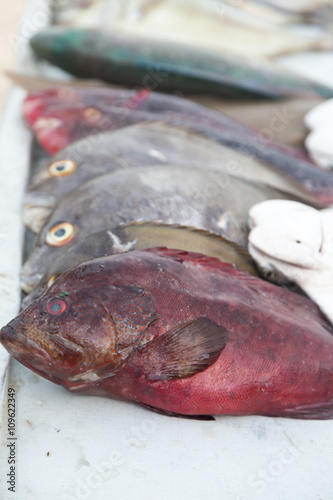 Fish on the market