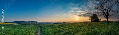 Sunrise sky over green field at springtime  rural landscape pano