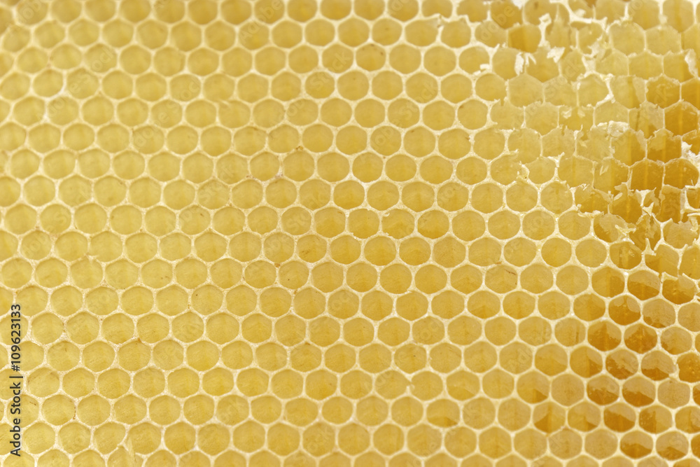 honeycomb