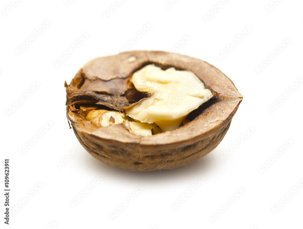 Part of a walnut on a white background Part of a walnut on a white background