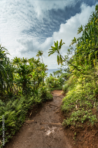 Kalalau Trail in Kauai   Hawaii