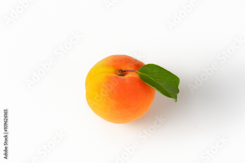 Single fresh apricot