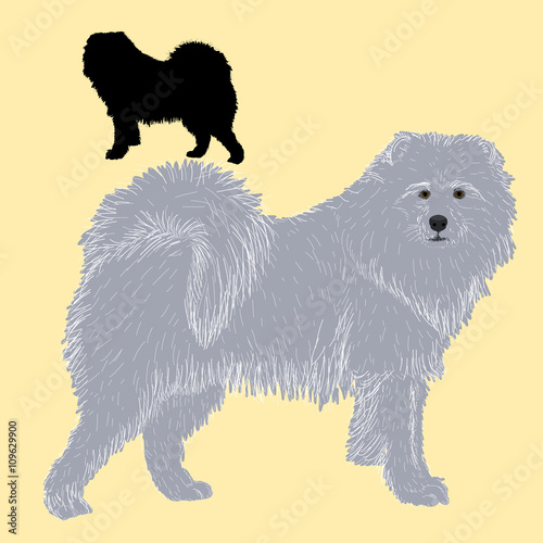 Siberian Samoyed dog black silhouette 