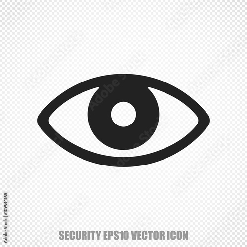 Safety vector Eye icon. Modern flat design.
