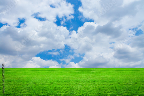 Green grass with sky and cloud 