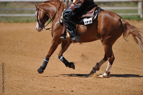 Fragment of the side view of a rider in the chaps on a horseback during the NRHA competition.