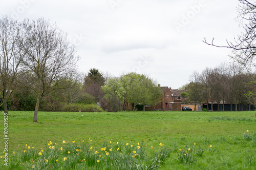 Beautiful european countryside - field and trees in Northolt, Greater London, United Kingdom