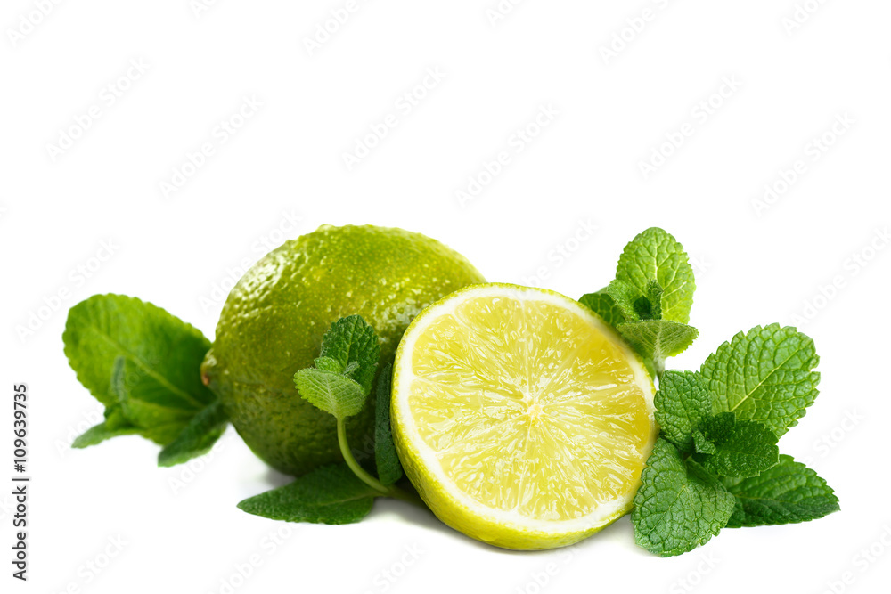 Fresh lime and mint. Isolated on white background Fresh lime and mint. Isolated on white background