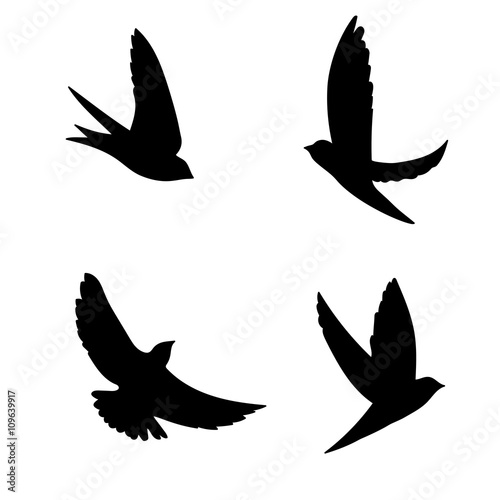 set black silhouette bird icon vector