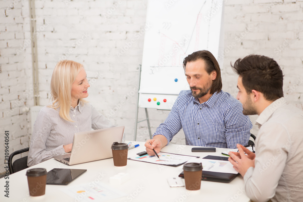 Fototapeta premium Coworking of businessteam