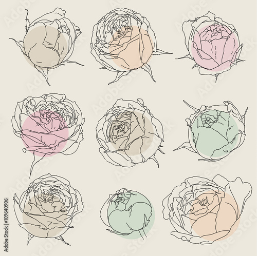 Beauty hand drawn flowers