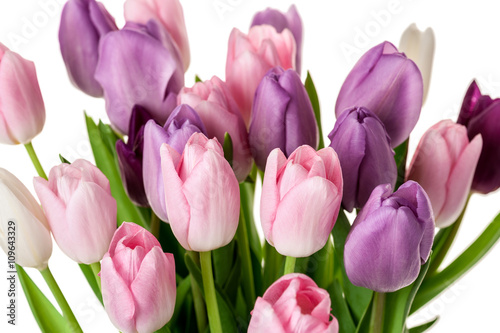 Colorful tulips flowers bouquet