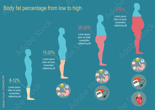 The degree of obesity. Vector illustration. The progression of obesity. Infographics. Body fat percentage from low to high. Diseases from obesity. Flat design.