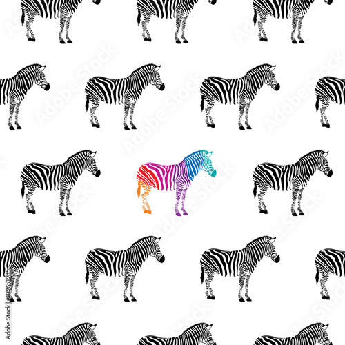 zebra black and white and colorful seamless background. isolated on white background.