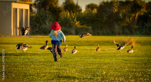 child chasing ducks