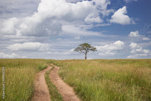 Road going through the Maasai Mara national park (Kenya)