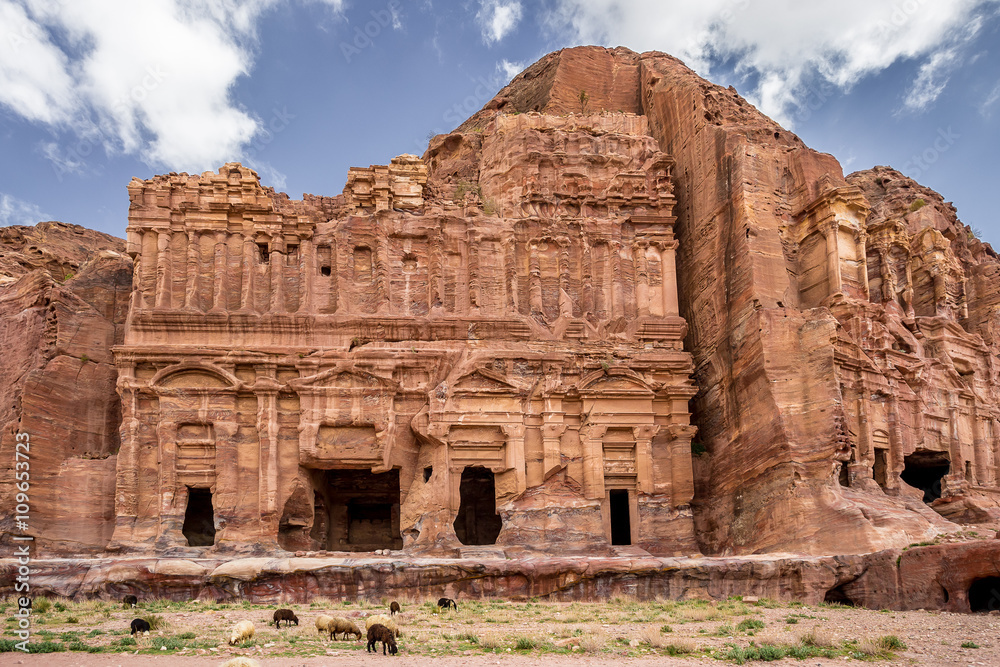 Sheeps grazing next to the Palace and Corinthian Tombs in the ancient city of Petra (Jordan)
