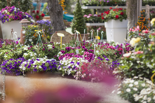 Wallpaper Mural flower Torontodigital.ca