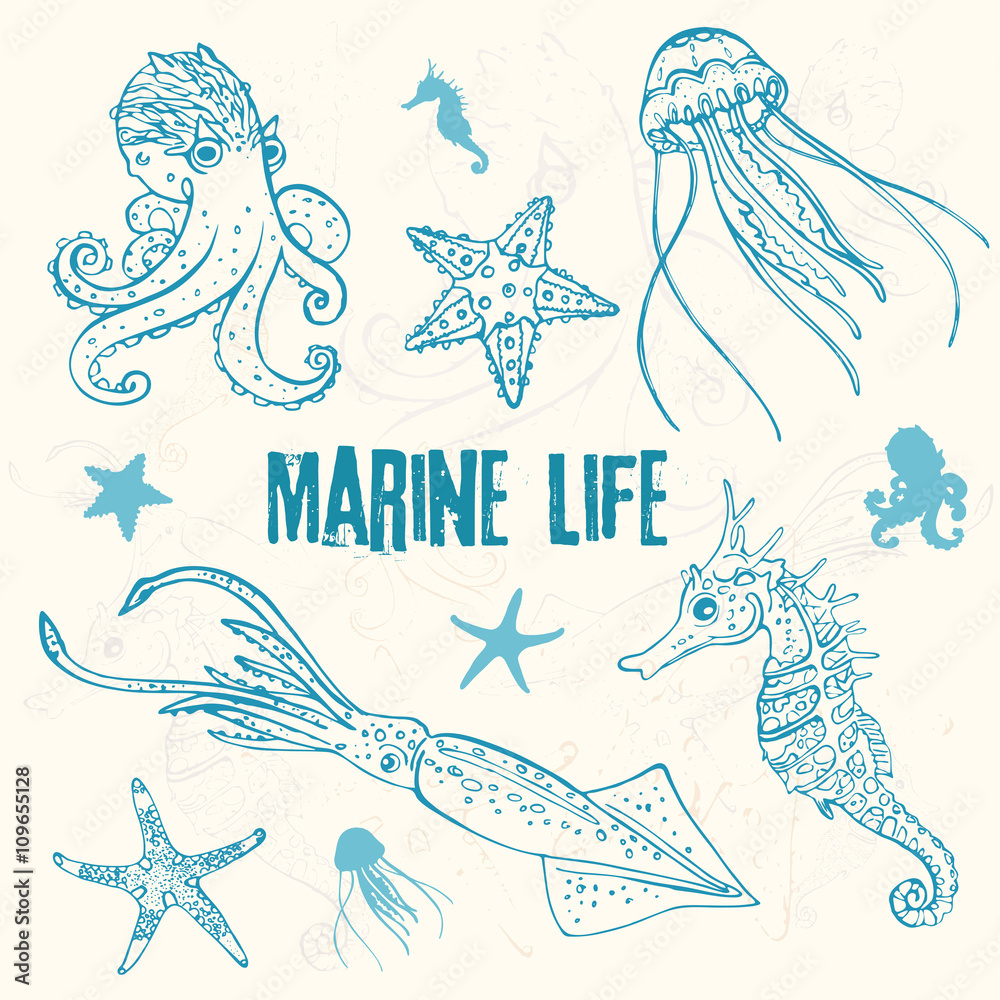 Fototapeta premium Set of linear marine life in the sketch style: octopus, jellyfish, two starfish, seahorse, squid/Hand drawn the inhabitants of the underwater world