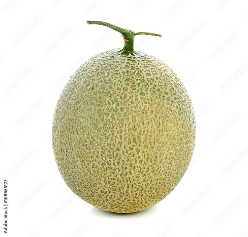 cantaloupe melon isolated on white background cantaloupe melon isolated on white background