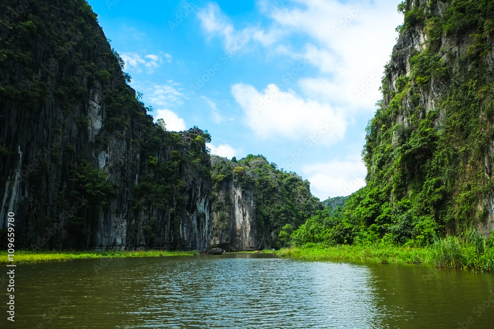 Rice fields on NgoDong river in Ninhbinh, Vietnam