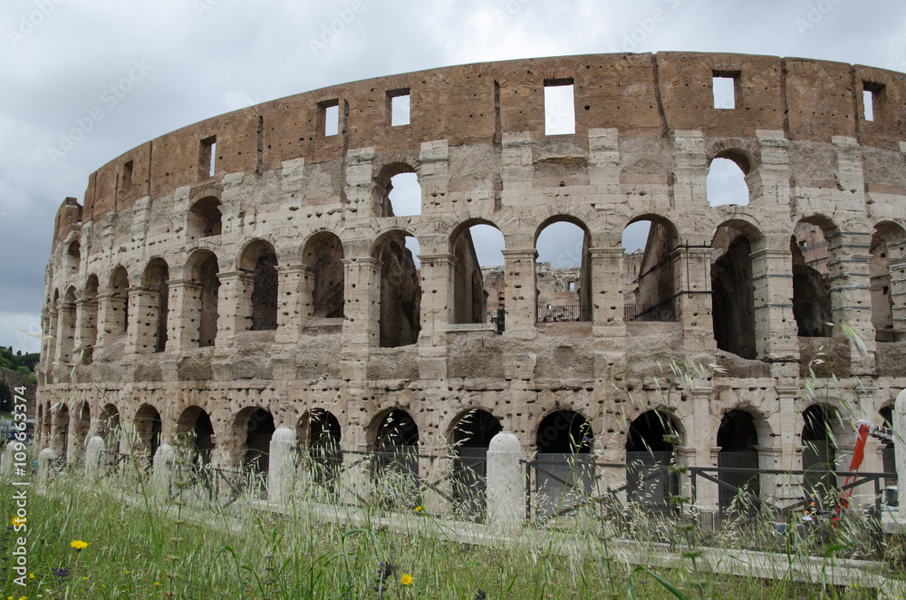 Flowers by the Colosseum in Rome, Italy