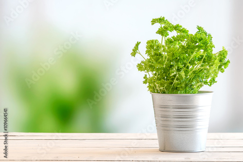 Parsley in a bucket on a table
