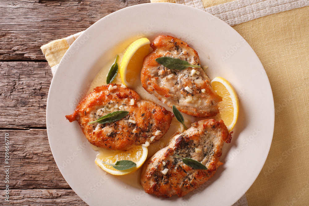 grilled chicken breast with sage, garlic and oil closeup. horizontal top view
grilled chicken breast with sage, garlic and oil closeup. horizontal top view