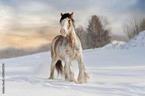 zimowy koń