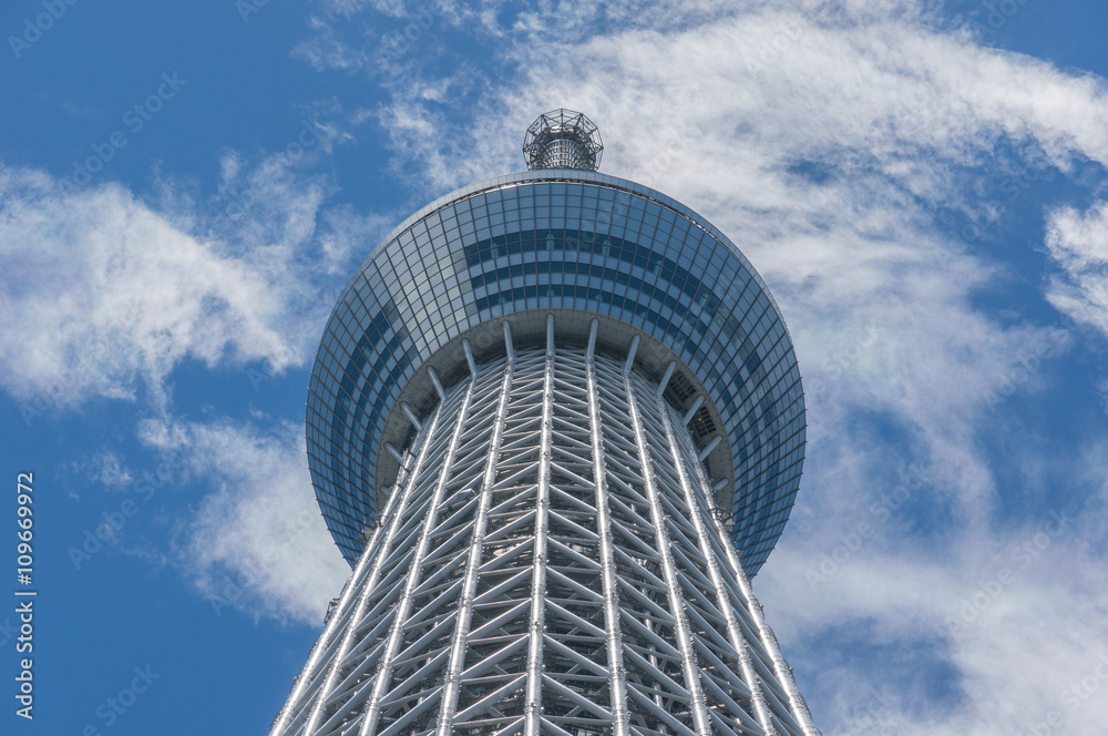 Obraz premium tokyo Sky Tree