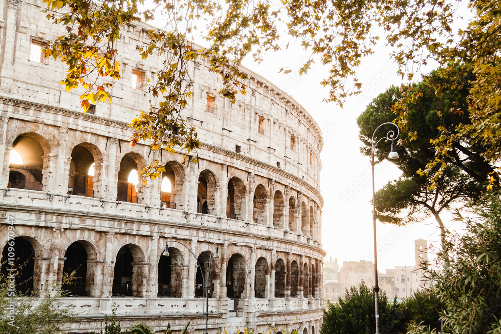 Obraz premium Colosseum. Rome. Italy