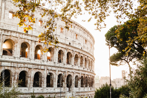 Colosseum. Rome. Italy