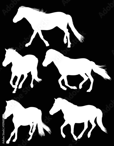 five running white horses on black