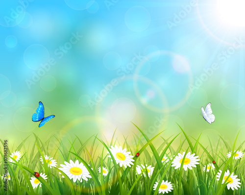 Butterflies flying over flowers