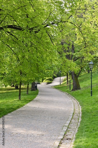 Beautiful green spring park. The journey nature.