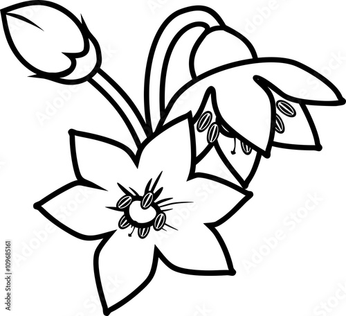 Foto coloring page with pepper flowers